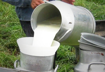 Precio de la leche sigue inestable en Córdoba y Sucre
