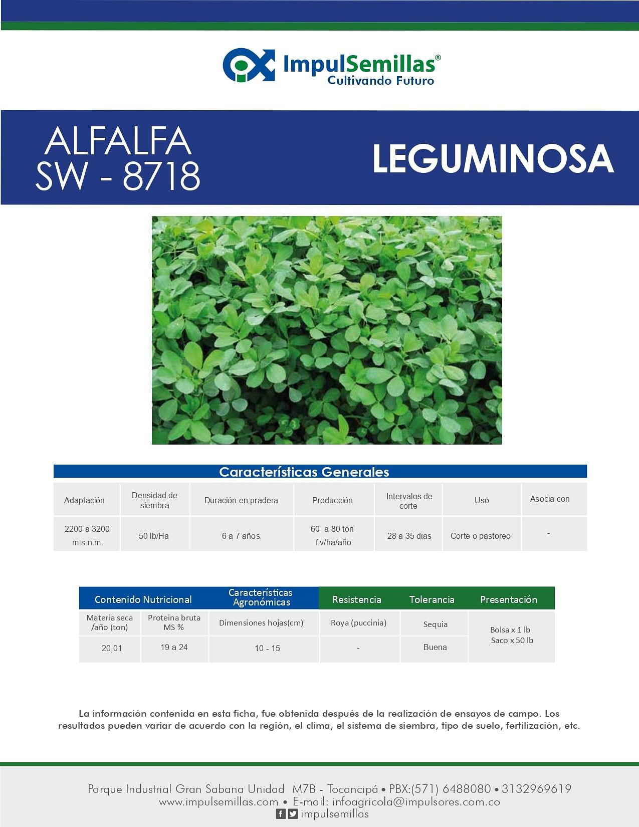 Alfalfa SW - 8718 x 454 gramos
