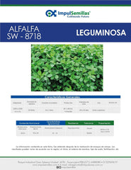 Alfalfa SW - 8718 x 454 gramos
