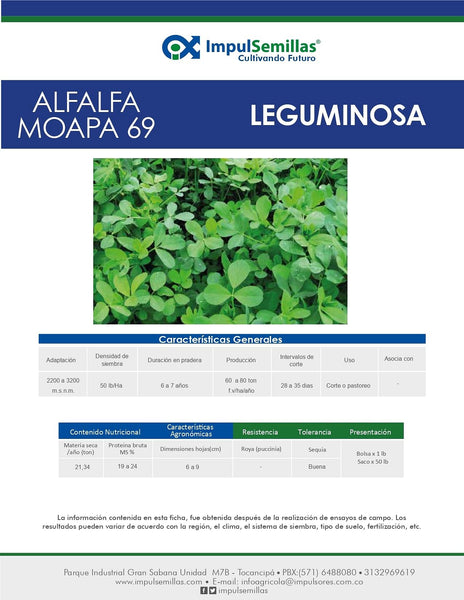 Alfalfa Moapa 69 x 454 gramos