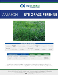 Rye Grass Perenne Amazon x 22.7 Kg.