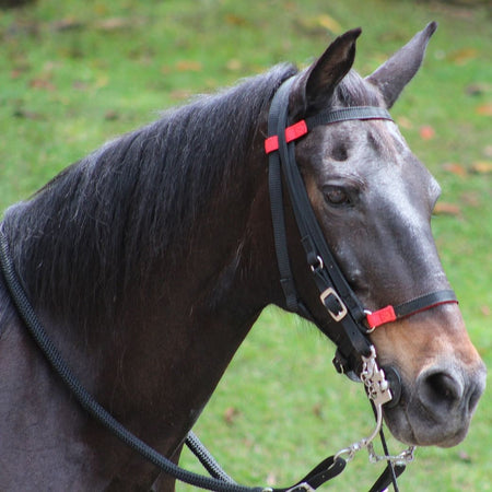 APERO DE CABEZA EN REATA MESACE REF.72007503
