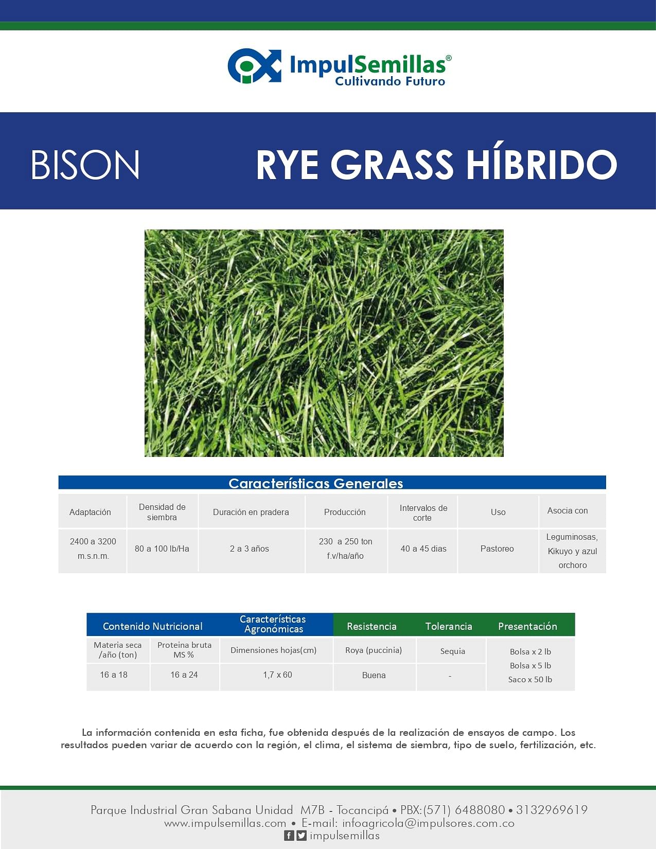 Rye Grass Híbrido Bison x 22.7 Kg.