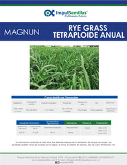 Rye Grass Anual Magnum x 22.7 Kg.