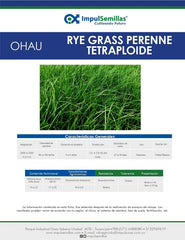 Rye Grass Ohau Certified x  25 Kg.