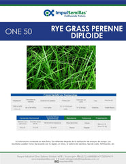 Rye Grass One 50 x 25 Kg.