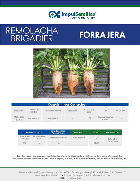 Remolacha Forrajera Brigadier x 454 gramos