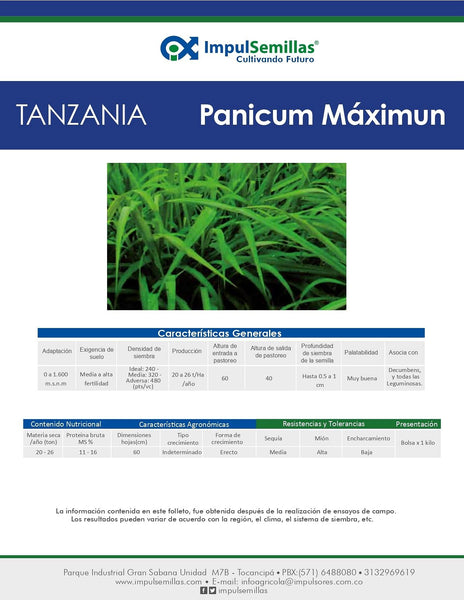 TANZANIA (PANICUM MAXIMUM) X 1 KG.