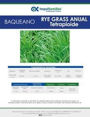 Rye Grass Baqueano x 25 Kg.